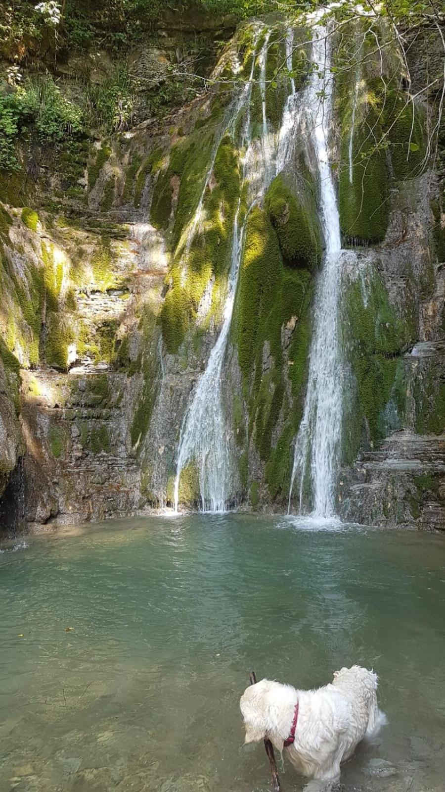 Alloggio Petrigh Canal di Grivo Esterno foto